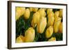 Yellow Tulips-nphotographer-Framed Photographic Print