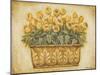 Yellow Tulips-Eva Misa-Mounted Art Print
