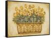 Yellow Tulips-Eva Misa-Framed Stretched Canvas