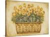 Yellow Tulips-Eva Misa-Stretched Canvas