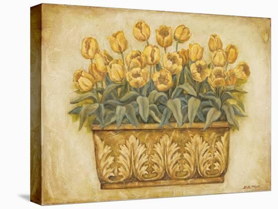 Yellow Tulips-Eva Misa-Stretched Canvas