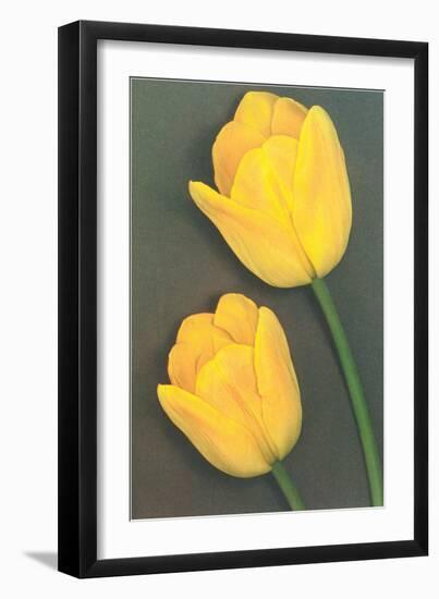 Yellow Tulips-null-Framed Art Print