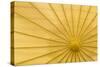 Yellow Umbrella-Kathy Mahan-Stretched Canvas