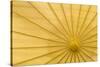 Yellow Umbrella-Kathy Mahan-Stretched Canvas