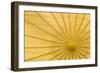 Yellow Umbrella-Kathy Mahan-Framed Photographic Print