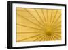 Yellow Umbrella-Kathy Mahan-Framed Photographic Print