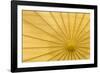 Yellow Umbrella-Kathy Mahan-Framed Photographic Print