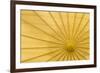 Yellow Umbrella-Kathy Mahan-Framed Photographic Print