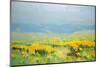 Yellow Valley-Vahe Yeremyan-Mounted Art Print