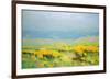 Yellow Valley-Vahe Yeremyan-Framed Art Print