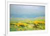 Yellow Valley-Vahe Yeremyan-Framed Art Print