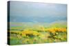 Yellow Valley-Vahe Yeremyan-Stretched Canvas