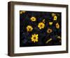 Yellow Velvet, 2019,-Helen White-Framed Giclee Print