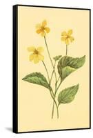 Yellow Violet-null-Framed Stretched Canvas