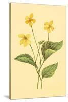 Yellow Violet-null-Stretched Canvas