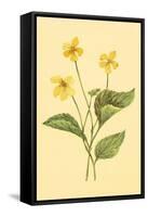 Yellow Violet-null-Framed Stretched Canvas