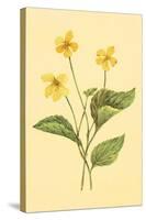 Yellow Violet-null-Stretched Canvas