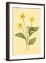 Yellow Violet-null-Framed Art Print