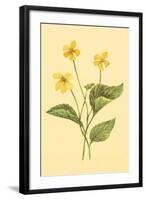 Yellow Violet-null-Framed Art Print