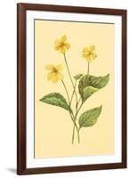 Yellow Violet-null-Framed Art Print