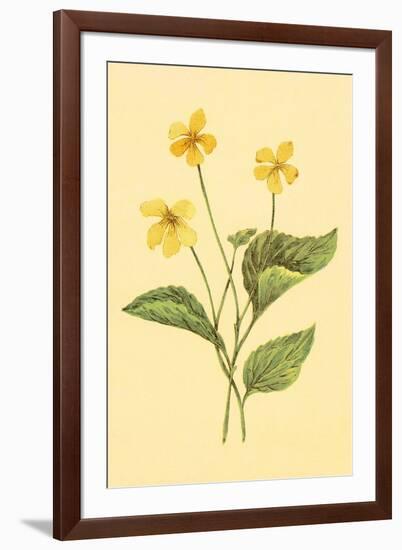 Yellow Violet-null-Framed Art Print