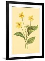 Yellow Violet-null-Framed Art Print