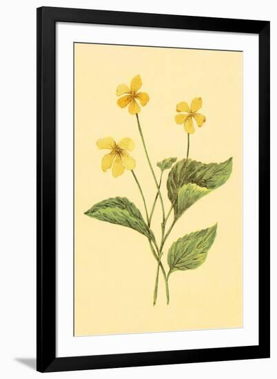 Yellow Violet-null-Framed Art Print