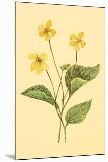 Yellow Violet-null-Mounted Art Print