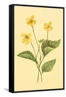 Yellow Violet-null-Framed Stretched Canvas