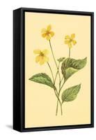 Yellow Violet-null-Framed Stretched Canvas