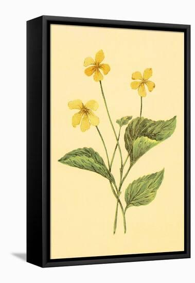 Yellow Violet-null-Framed Stretched Canvas