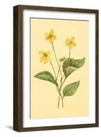 Yellow Violet-null-Framed Art Print