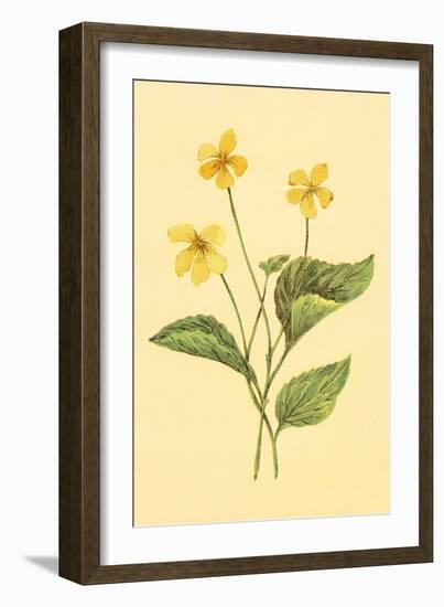 Yellow Violet-null-Framed Art Print