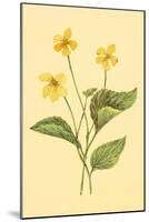 Yellow Violet-null-Mounted Art Print