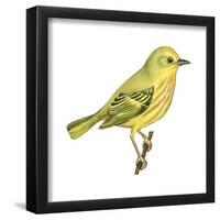 Yellow Warbler (Dendroica Petechia), Birds-Encyclopaedia Britannica-Framed Poster