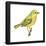 Yellow Warbler (Dendroica Petechia), Birds-Encyclopaedia Britannica-Framed Poster