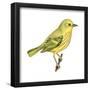 Yellow Warbler (Dendroica Petechia), Birds-Encyclopaedia Britannica-Framed Poster