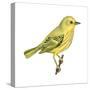 Yellow Warbler (Dendroica Petechia), Birds-Encyclopaedia Britannica-Stretched Canvas