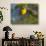 Yellow Warbler (Dendroica Petechia) Perched Singing, Washington, USA-Gary Luhm-Photographic Print displayed on a wall