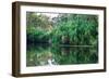 Yellow Water billabong and wetland, Kakadu National Park, UNESCO World Heritage Site, Northern Terr-Andrew Michael-Framed Photographic Print