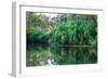 Yellow Water billabong and wetland, Kakadu National Park, UNESCO World Heritage Site, Northern Terr-Andrew Michael-Framed Photographic Print