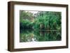 Yellow Water billabong and wetland, Kakadu National Park, UNESCO World Heritage Site, Northern Terr-Andrew Michael-Framed Photographic Print