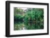 Yellow Water billabong and wetland, Kakadu National Park, UNESCO World Heritage Site, Northern Terr-Andrew Michael-Framed Photographic Print