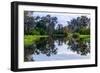 Yellow Water billabong and wetland, Kakadu National Park, UNESCO World Heritage Site, Northern Terr-Andrew Michael-Framed Photographic Print