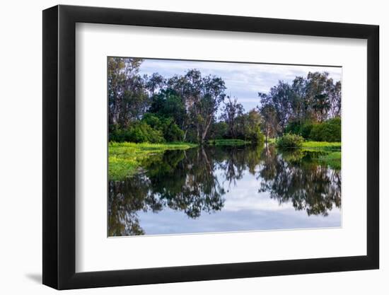 Yellow Water billabong and wetland, Kakadu National Park, UNESCO World Heritage Site, Northern Terr-Andrew Michael-Framed Photographic Print