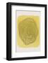 Yellow Watercolor Shapes Series #4-jay stanley-Framed Photographic Print