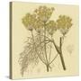 Yellow Weeds-null-Stretched Canvas