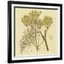 Yellow Weeds-null-Framed Premium Giclee Print