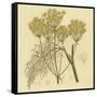 Yellow Weeds-null-Framed Stretched Canvas