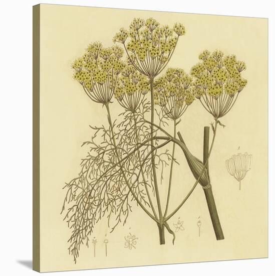 Yellow Weeds-null-Stretched Canvas